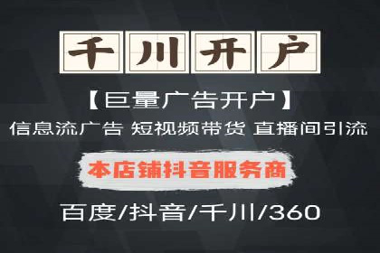 成功SEM代理案例：精准投放的策略