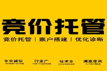信息流代理案例分享：助力企业增长之道